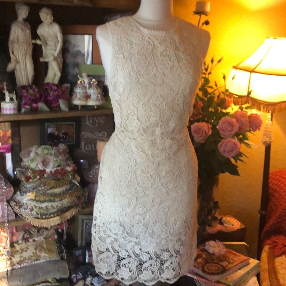 Cotton lined lace dress